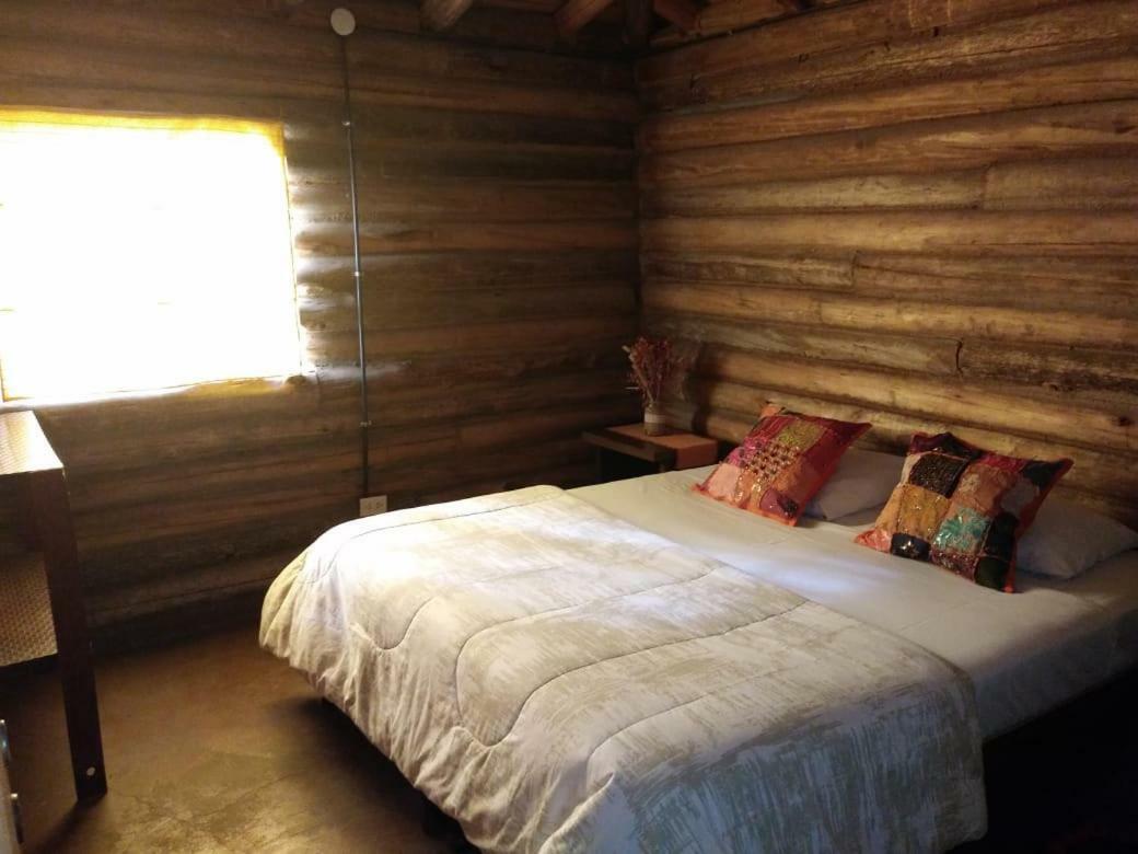 メンドーサ Cabanas Alto Bermejoヴィラ エクステリア 写真
